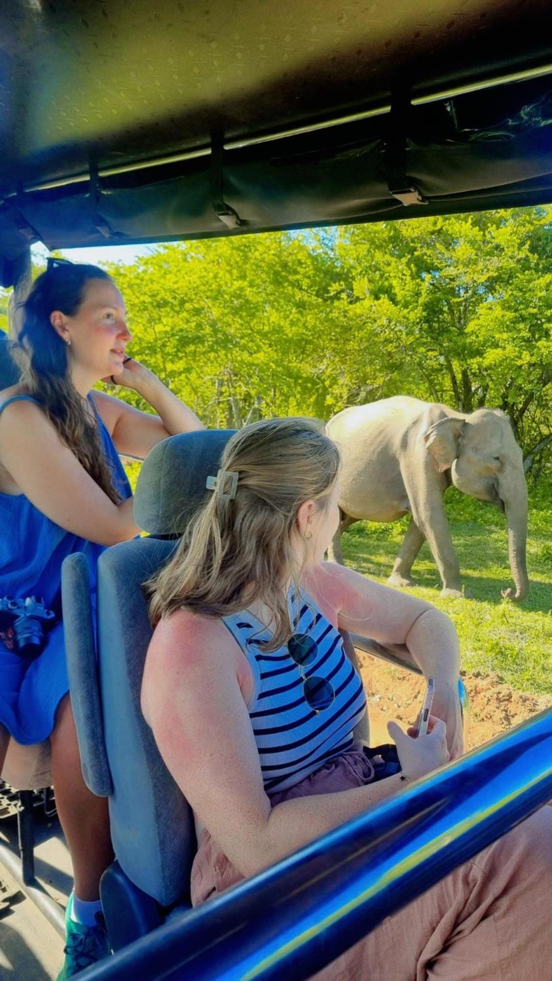 Elephant Park Family Проживание в семье Удавалаве